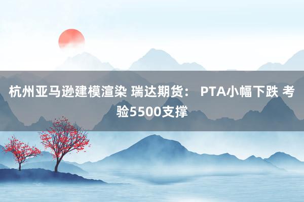 杭州亚马逊建模渲染 瑞达期货： PTA小幅下跌 考验5500支撑