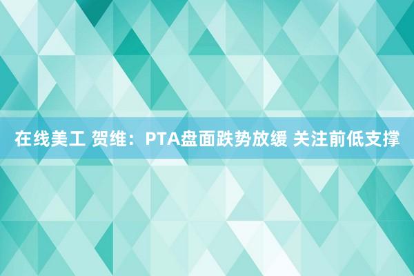 在线美工 贺维：PTA盘面跌势放缓 关注前低支撑