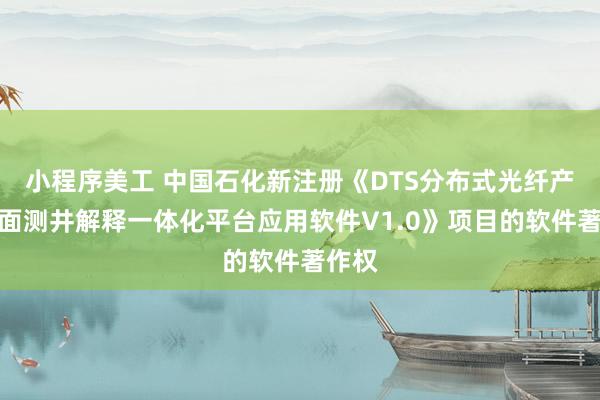 小程序美工 中国石化新注册《DTS分布式光纤产出剖面测井解释一体化平台应用软件V1.0》项目的软件著作权