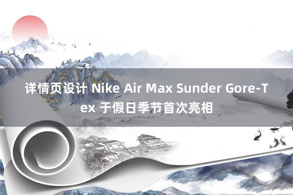 详情页设计 Nike Air Max Sunder Gore-Tex 于假日季节首次亮相