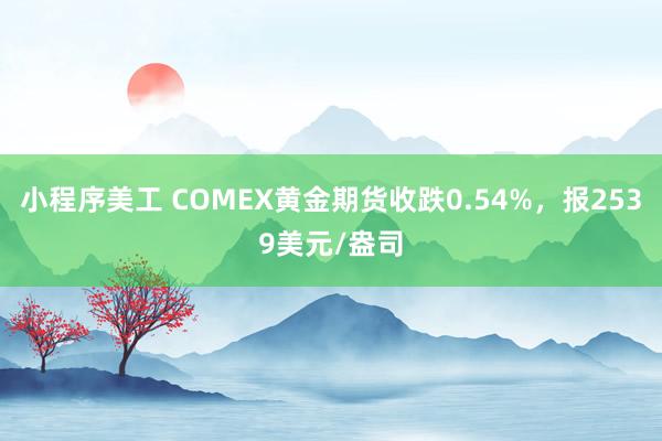 小程序美工 COMEX黄金期货收跌0.54%，报2539美元/盎司