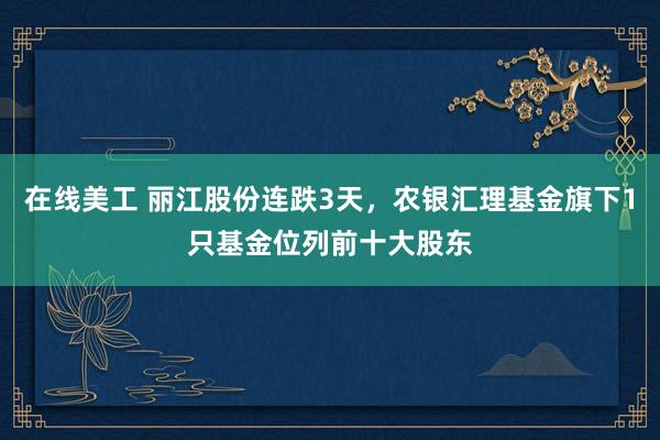 在线美工 丽江股份连跌3天，农银汇理基金旗下1只基金位列前十大股东