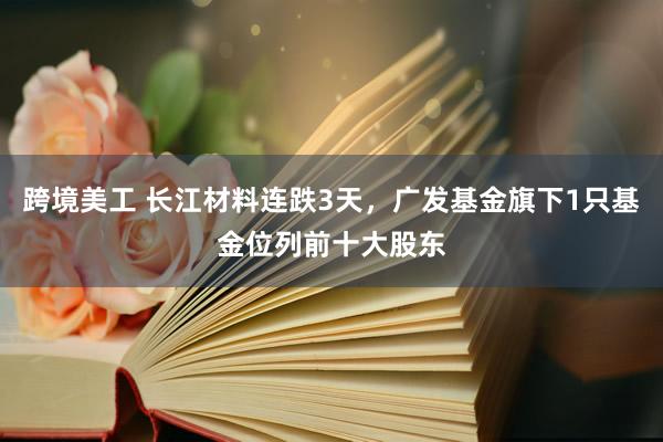 跨境美工 长江材料连跌3天，广发基金旗下1只基金位列前十大股东